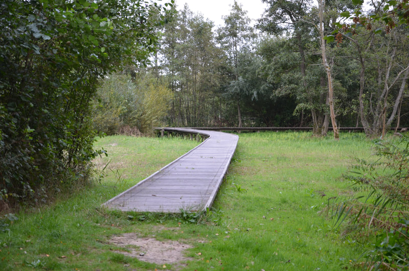 Zwin Nationalpark in Knokke Heist. Belgien. 