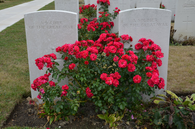 Tyne-Cot-Friedhof. Belgien.